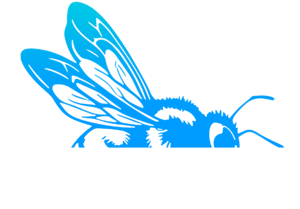 Beestudio